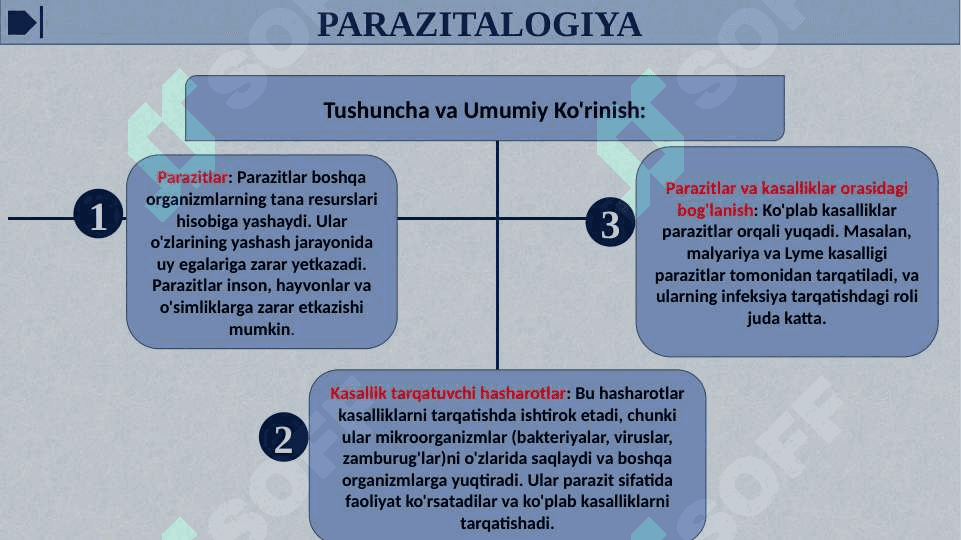 Parazit va kasallik tarqatuvchi hasharotlar 3