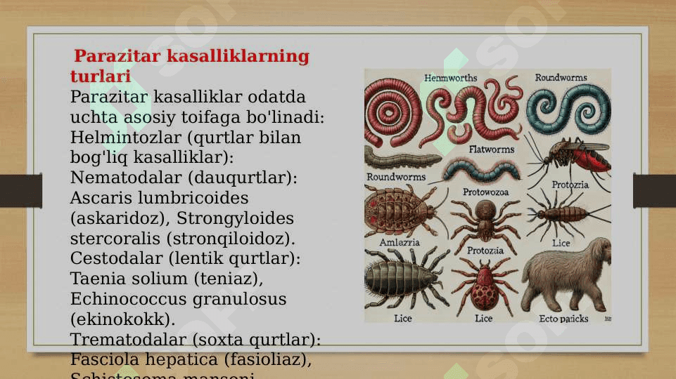 PARAZITAR KASALLIKLAR 3