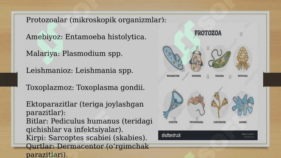 PARAZITAR KASALLIKLAR 4