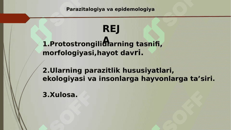 Protostrongilidlar 2