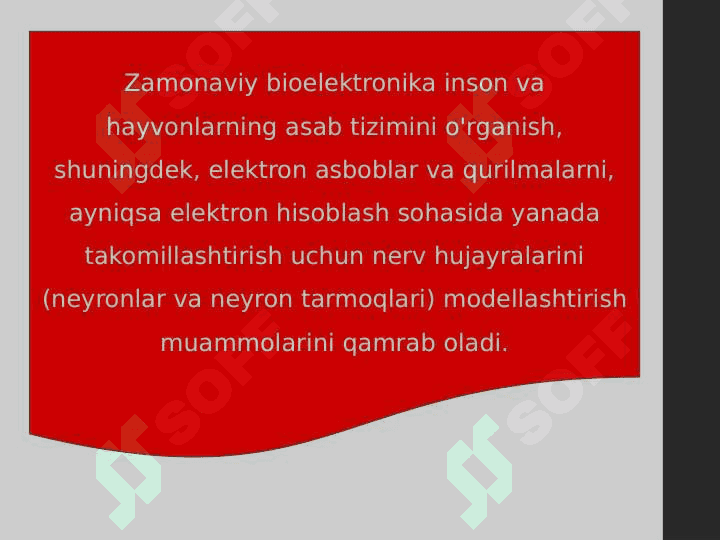 Bioelektronika 4