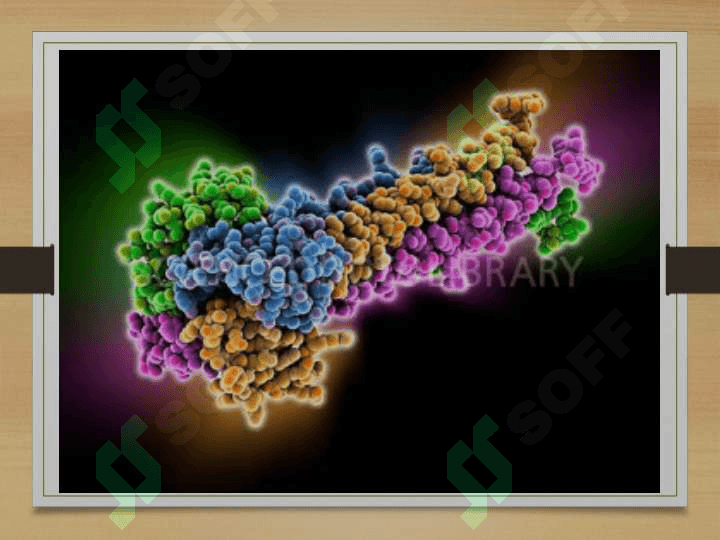 Gibridomalar texnologiyasi 3