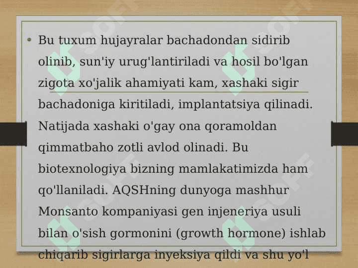 Gibridomalar texnologiyasi 4