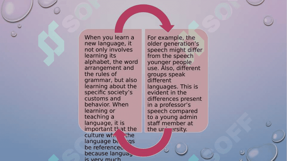 Interrelation of culture and language 3