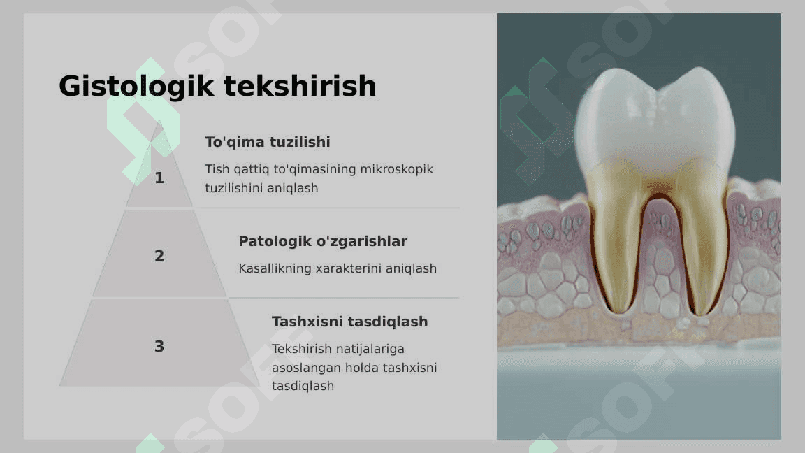 Tish qattiq to‘qimasi kasalliklarida asosiy va qo‘shimcha tekshirish usullari 1