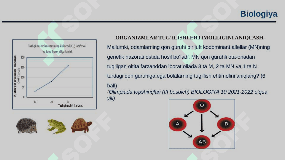 Biologiya darslarida amaliy mashg‘ulotlarni to‘g‘ri tashkil etish va amaliy ko‘nikmalarni 3