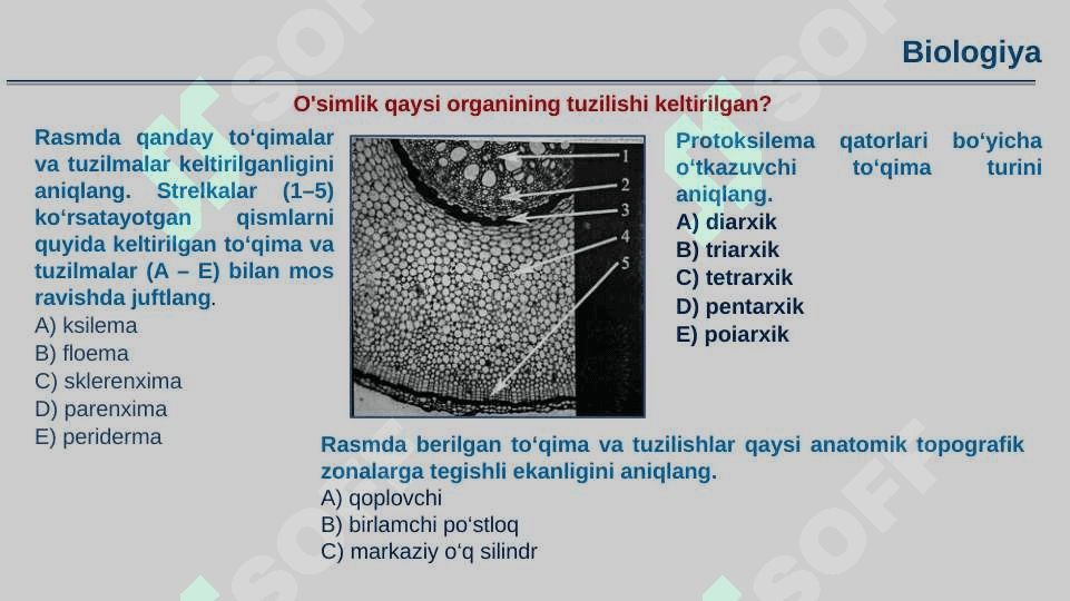 Biologiya darslarida amaliy mashg‘ulotlarni to‘g‘ri tashkil etish va amaliy ko‘nikmalarni 4
