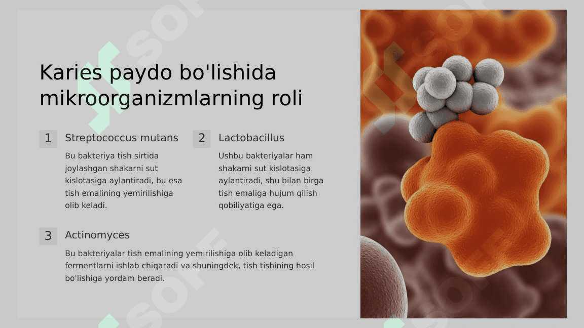 Karies kelib chiqish nazariyalari.  Karies epidemiologiyasi. 6