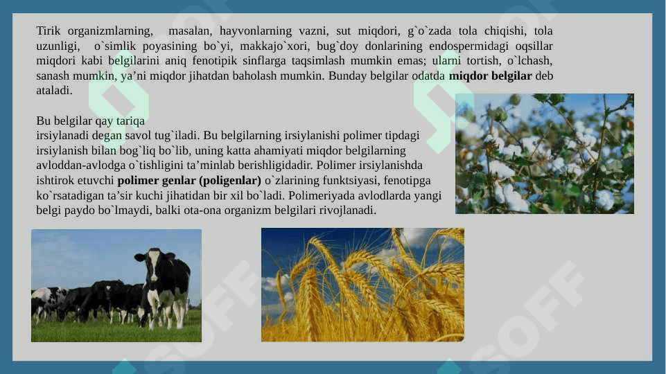 Genlarning polimer ta’sirida belgilarning irsiylanishi 3