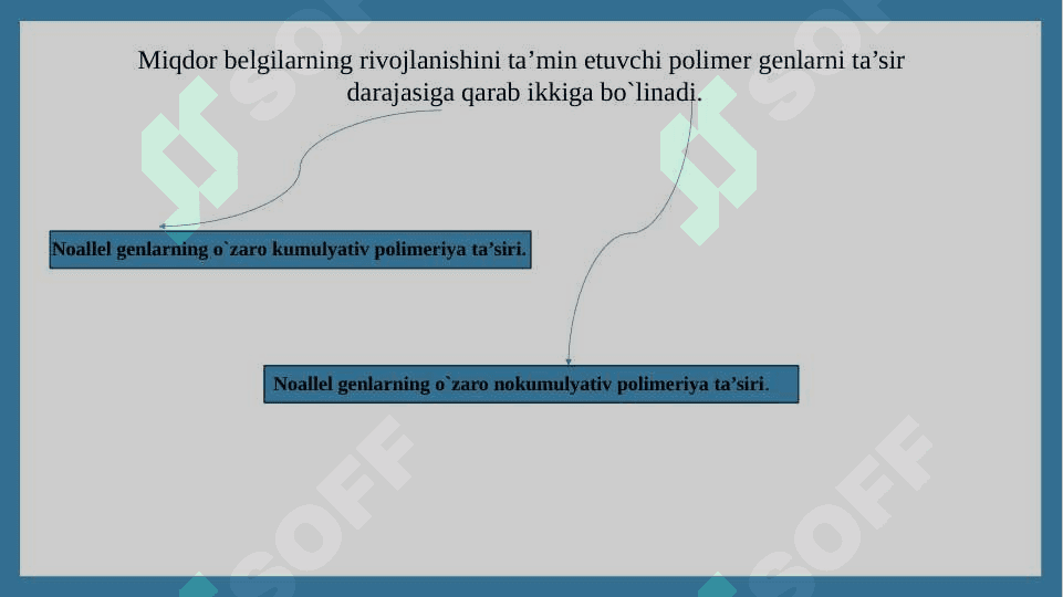Genlarning polimer ta’sirida belgilarning irsiylanishi 4