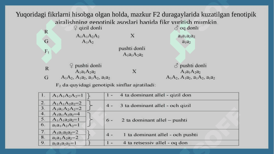 Genlarning polimer ta’sirida belgilarning irsiylanishi 6