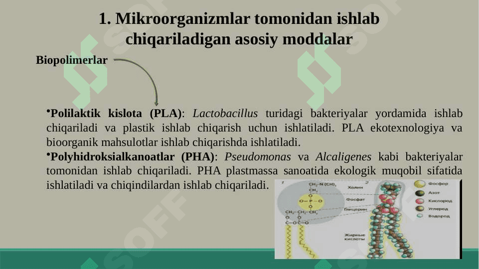 Mikrooganizmlardan zarur moddalar sintezlab olish 3