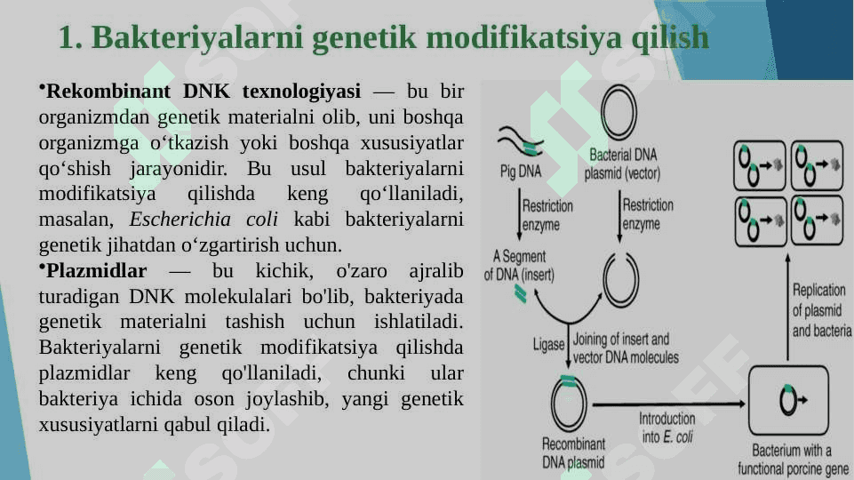 Mikroorganizmlardan gen muhandisligida qo’llanishi 3