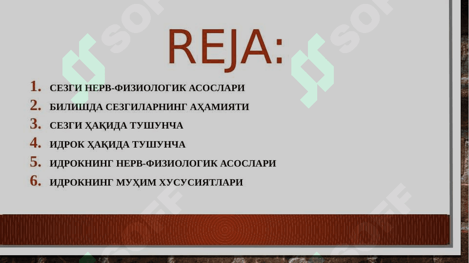 Bilish jarayonlARI. SEZGI VA IDROK 2