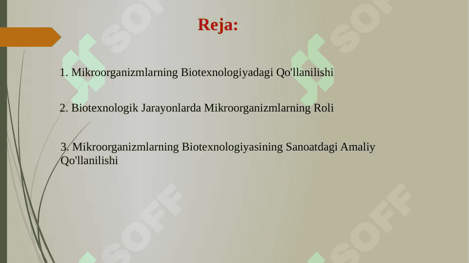 Mikroorganizmlarning biotexnologiyasi 2