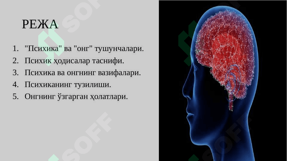 ПСИХИКА ВА ОНГНИНГ ТАРАҚҚИЁТИ 2