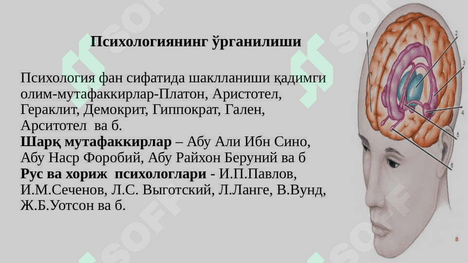 УМУМИЙ ПСИХОЛОГИЯ ФАНИГА КИРИШ. ФАННИНГ ИЛМИЙ ТАДҚИҚОТ МЕТОДЛАРИ 8