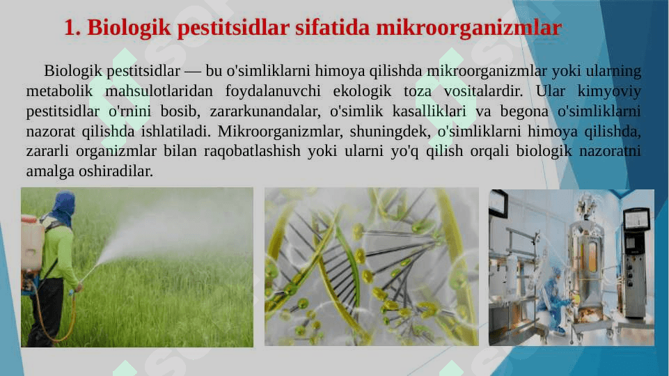 Mikroorganizmlarning qishloq xo’jaligida, o’simliklarni himoya qilishda foydalanishi 3