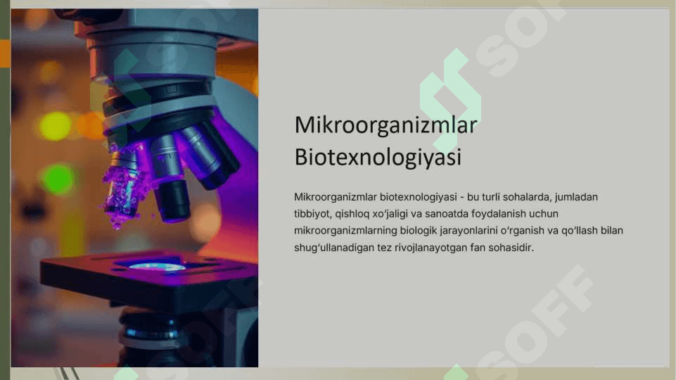 Mikroorganizmlar biotexnologiyasi 2