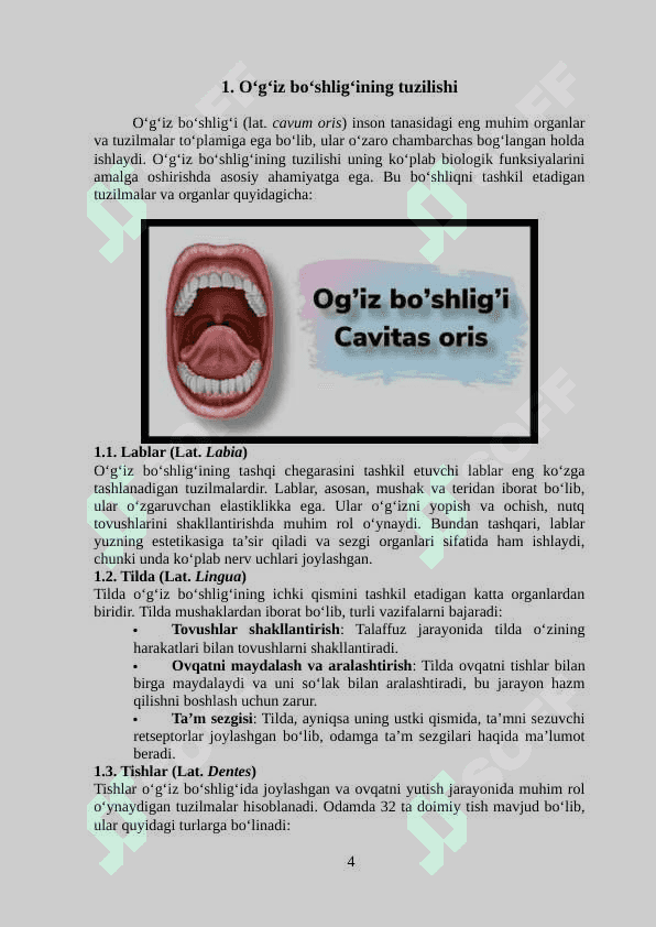 Og`iz bo`shlig`i 4