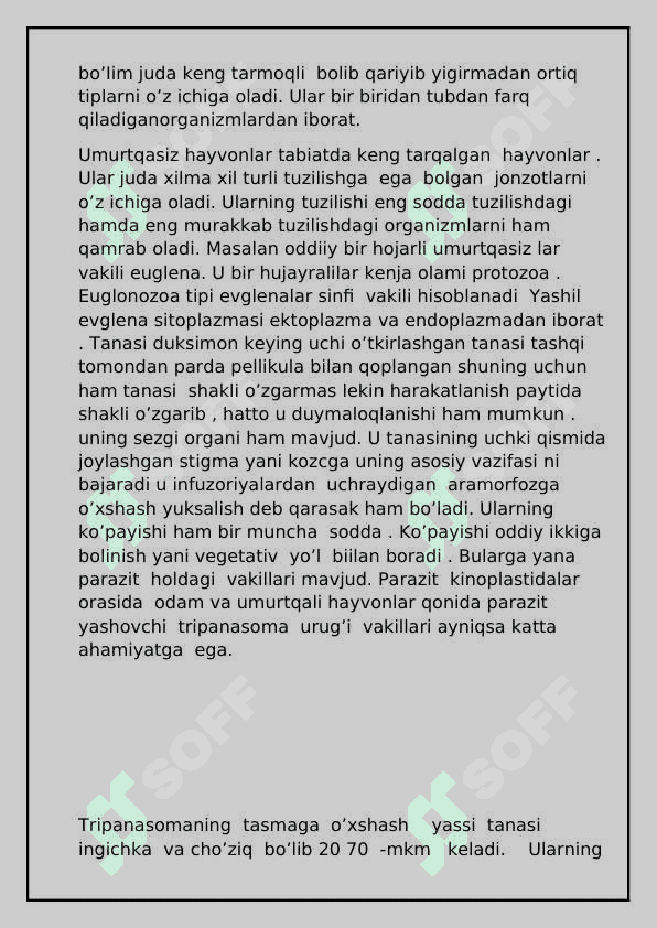 Umurtqasiz hayvonlar azolar tizimi evolutsiyasi 5