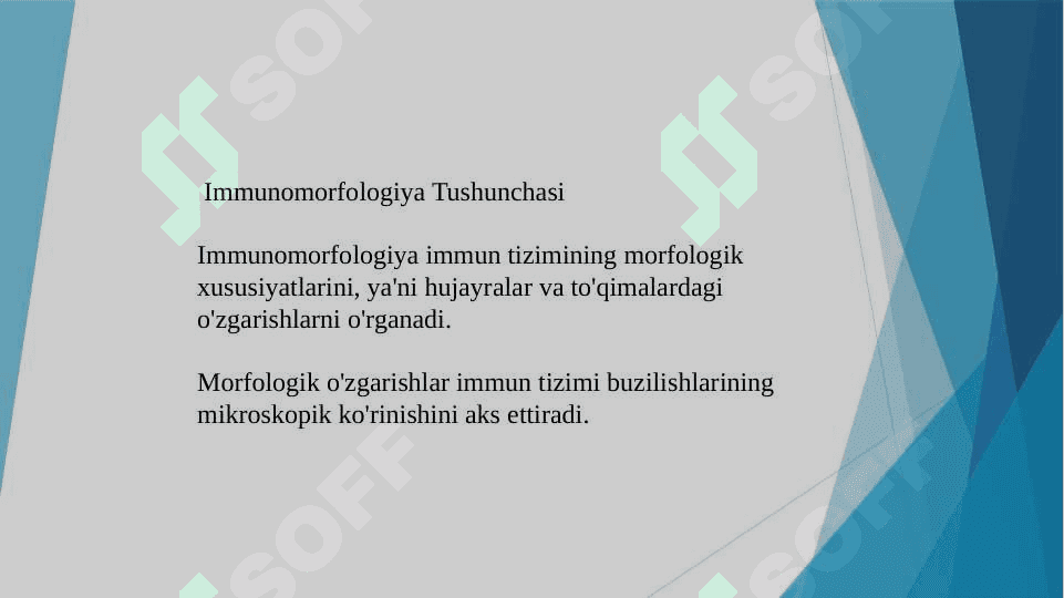 Immunopatologik jarayonlar, immunopatologiya, immunomorfologiya tshunchalari immun reaksiyalarning reaksiyalari rivojlanish mexanizmlari azolar gumoral va fiziologik reaksiyalari. 3