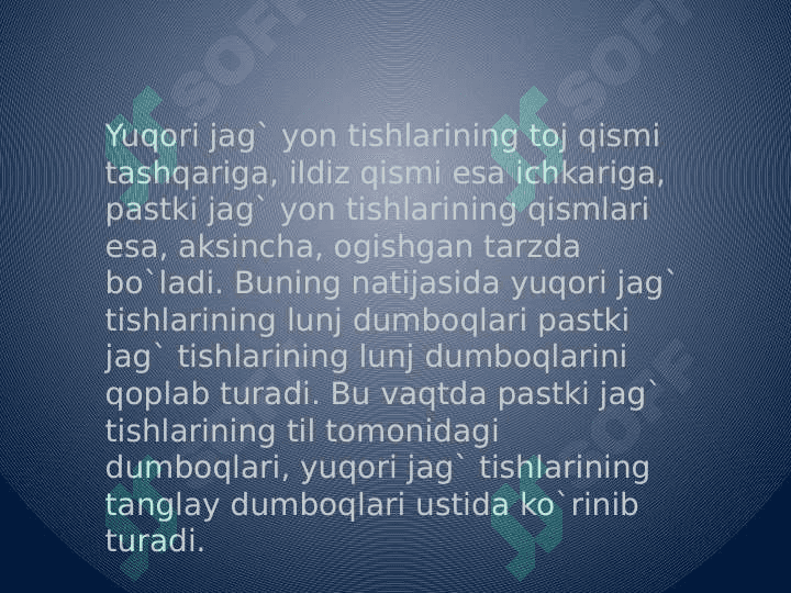 Tish, tish qatorlari va prikus anomaliyalarini rivojlanishini tashxislash 7