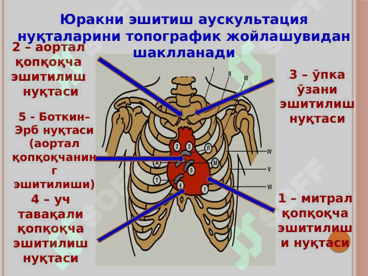 Туғма юрак нуқсонлари юрак шовқинлари 3