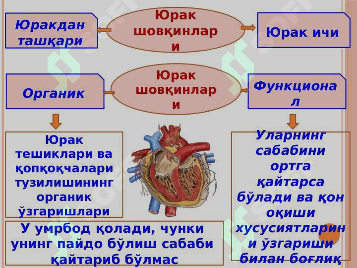 Туғма юрак нуқсонлари юрак шовқинлари 7