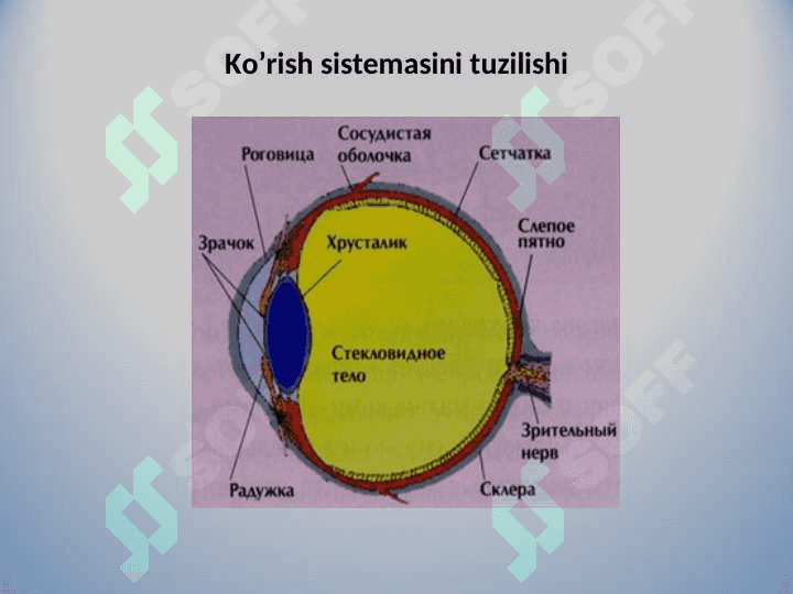 Elektr yoritish qurilmalarini tanlash va yoritish normalari 4