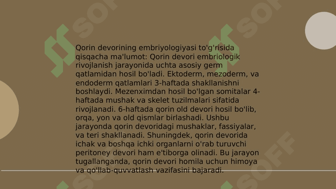 Qorin devori tugʻma nuqsonlari jarrohlik anatomiyasi. Qorin devori rivojlanish nuqsonlarida operatsiyalar 3