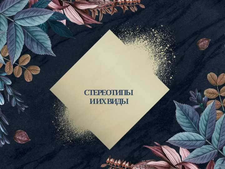 СТЕРЕОТИПЫ И ИХ ВИДЫ
