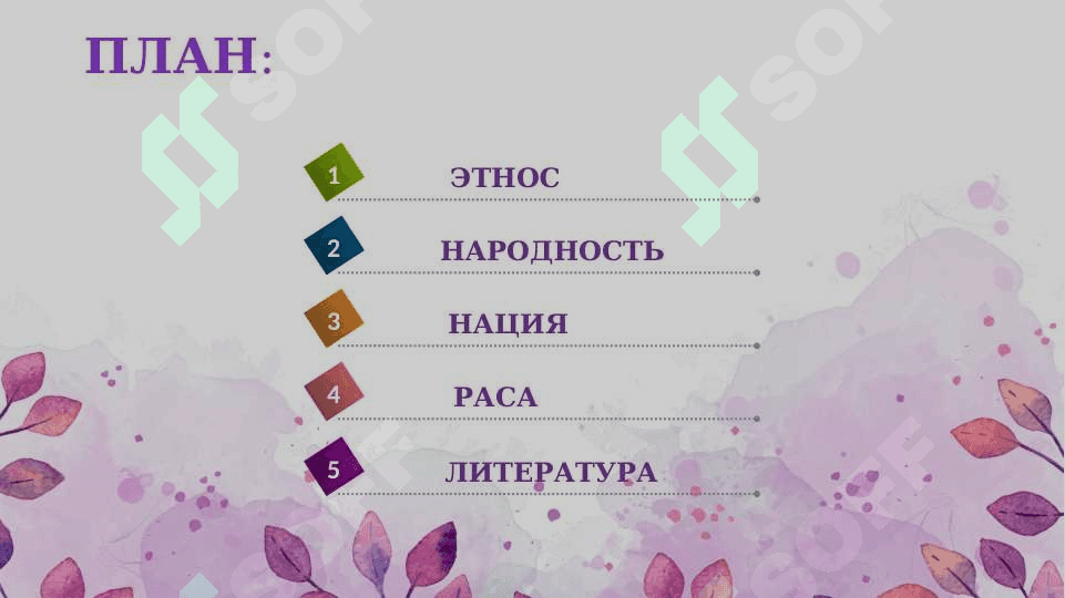 ЭТНОС, НАРОДНОСТЬ, НАЦИЯ, РАСА 2