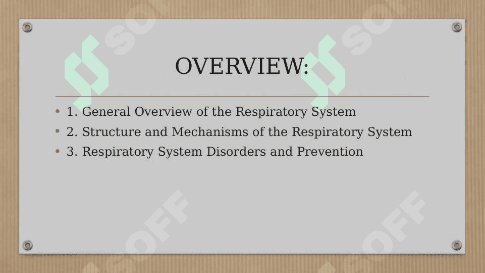 RESPIRATORY SYSTEM 2