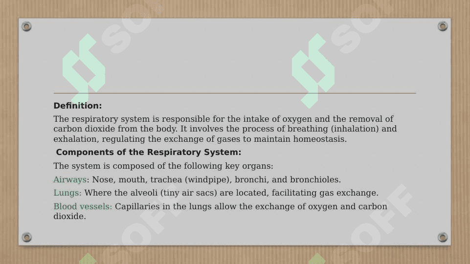 RESPIRATORY SYSTEM 3