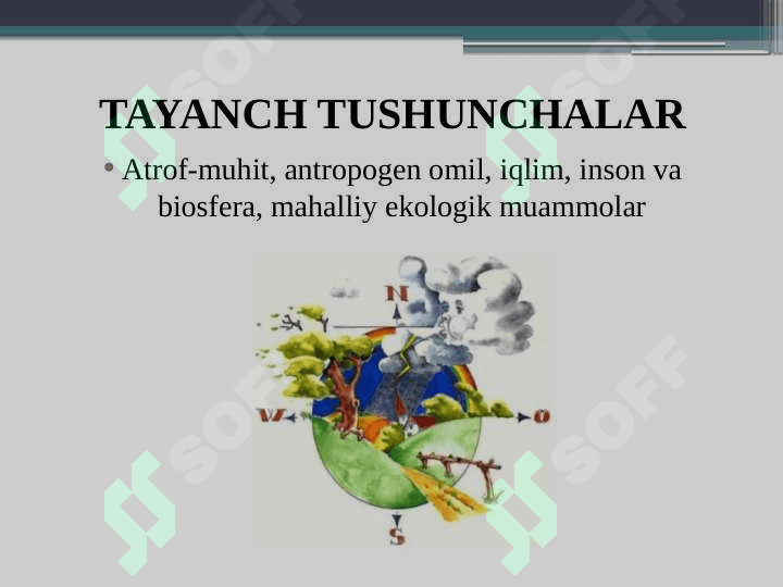 Mahalliy ekologik muammolar va ularning oqibatlari. 3