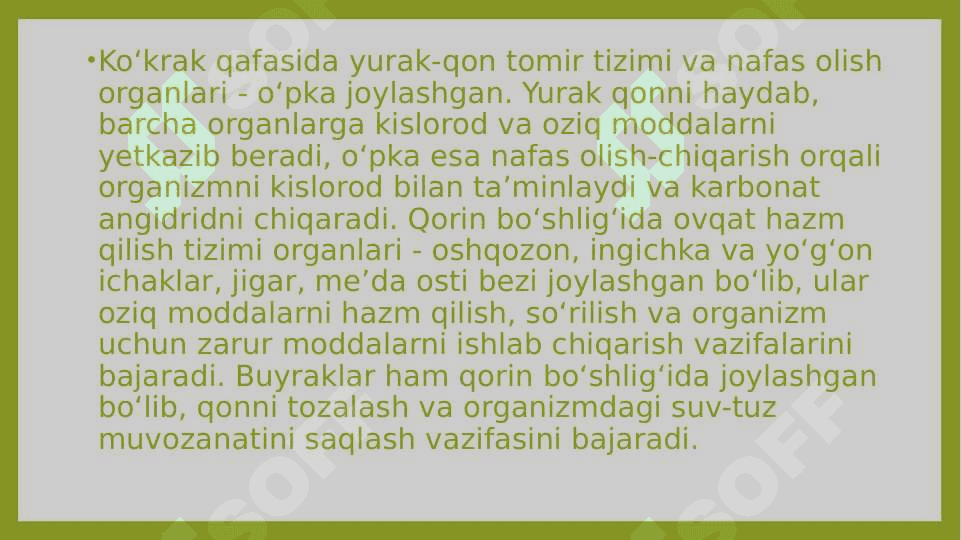 Odam tana qismlari tuzilishi va funksiyalari 4
