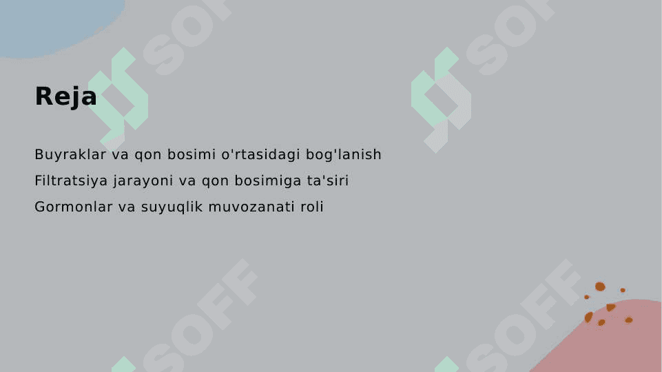 Arterial bosimning boshqariluvida buyraklarning roli 2