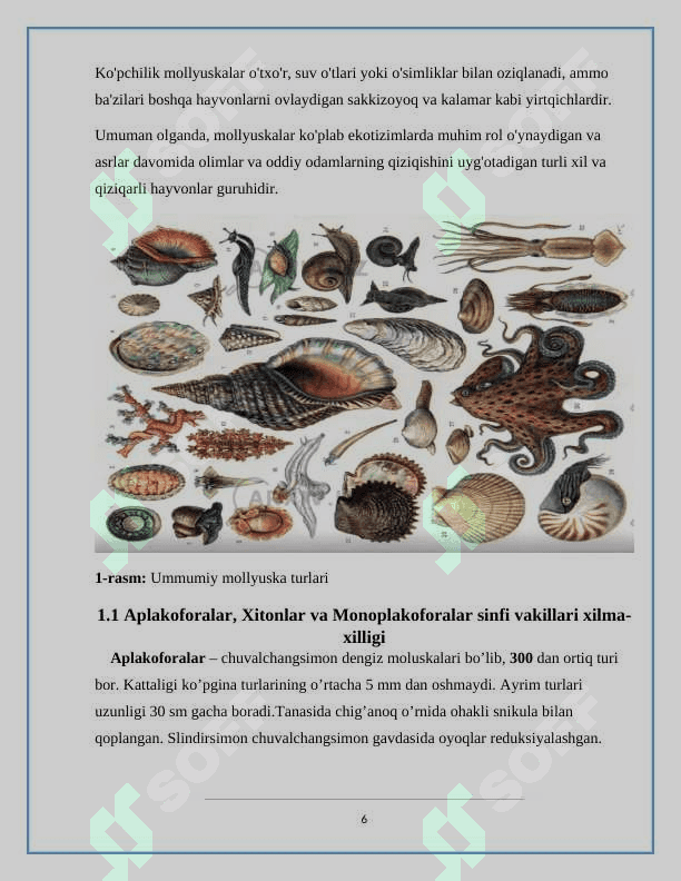 :” OVLANADIGAN MOLLYUSKALAR ,ASOSIY TURLARINING IQTISODIY AHAMIYATI 6