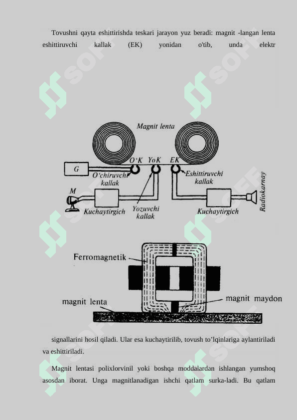 QATTIQ JISMLARNING MAGNIT XOSSALARI 5