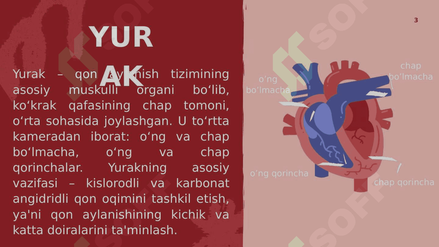 Perikardit. Taqdimot 3