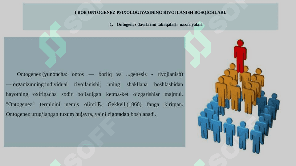 Ontogenezda psixik rivojlanish dinamikasining tadbiq etilishi –hozirgi zamon yosh psixologiyasining aktual muammosi sifatida 5