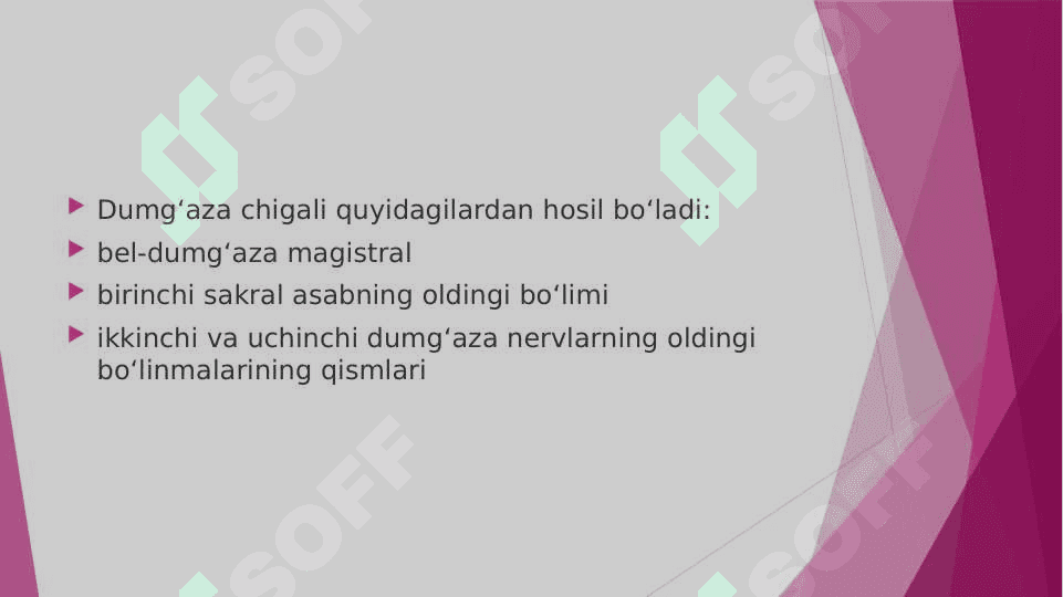 BEL DUMG’AZA VA DUM CHIGALIDA UCHRAYDIGAN ANOMALIYALAR 3