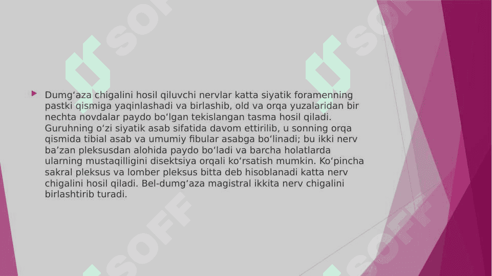 BEL DUMG’AZA VA DUM CHIGALIDA UCHRAYDIGAN ANOMALIYALAR 4