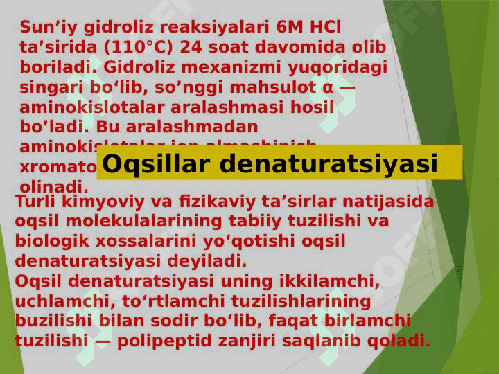 Oqsillarning  denaturatsiyasi va folding, Folding jarayonida shaperonlarning roli 4