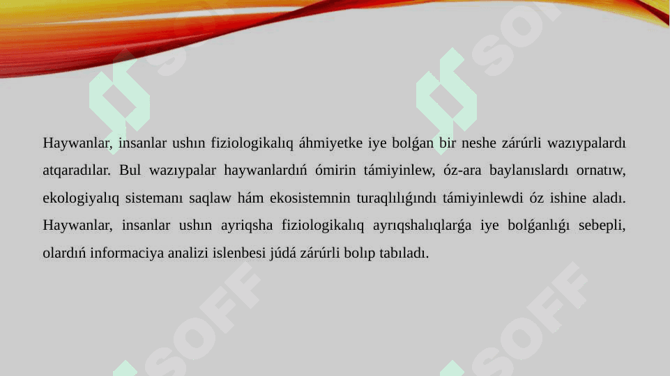 Insan ushin haywannıń fizialogiyalıq áhmiyeti informaciyalıq analizlew materialın dúziw 2