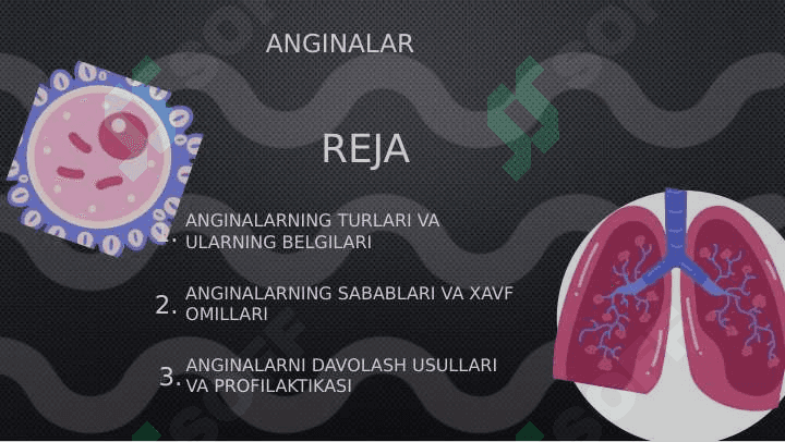ANGINALAR 2