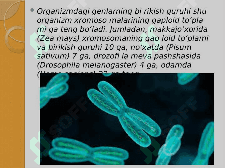 Organizmning mutagen ta'sirga chidamliligi. Tomas Morganning xromasoma nazariyasi. Jins genetikasi. 6