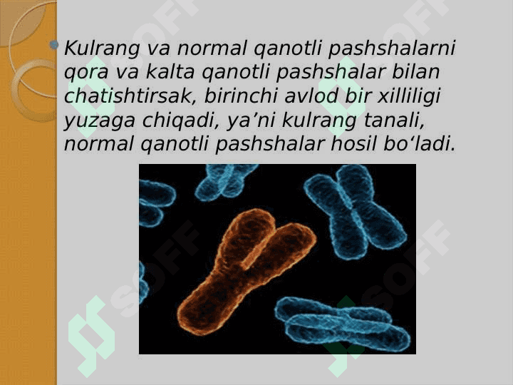 Organizmning mutagen ta'sirga chidamliligi. Tomas Morganning xromasoma nazariyasi. Jins genetikasi. 8