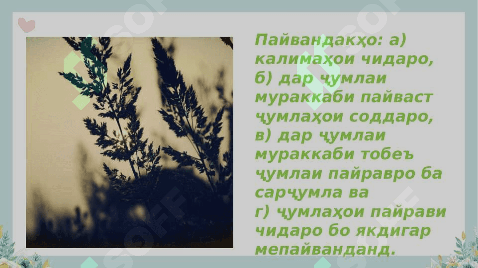 Пайвандакҳо ва хусусиятҳои он 6